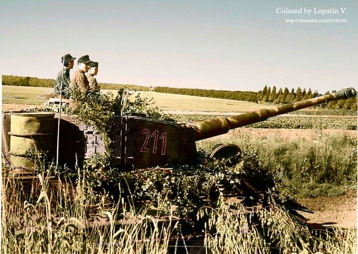 Tigre I lors de la bataille de Normandie (13 août 1944)